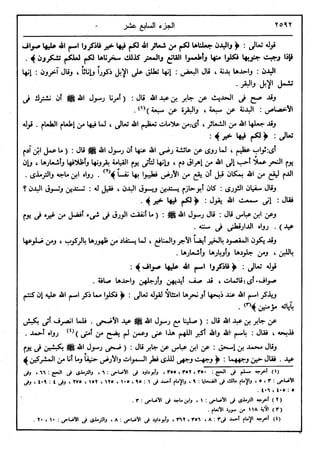 في رحاب التفسير- الجزء السابع عشر