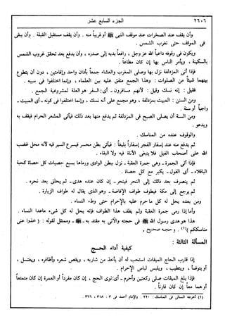 في رحاب التفسير- الجزء السابع عشر