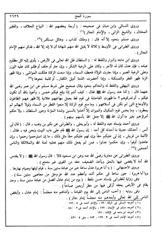 في رحاب التفسير- الجزء السابع عشر