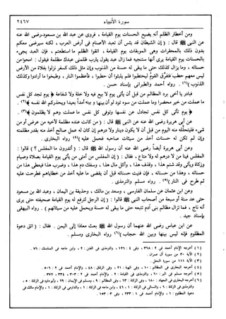في رحاب التفسير- الجزء السابع عشر