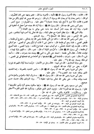في رحاب التفسير- الجزء السابع عشر