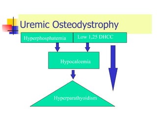 Uremic Osteodystrophy Hyperphosphatemia  Low 1,25 DHCC Hypocalcemia  Hyperparathyoidism 
