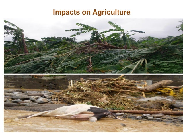 Negative Impacts Of Natural Disasters On Tourism Negative Impacts Of Natural Disasters On Tourism