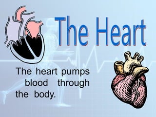 DIFFERENT HUMAN BODY SYSTEMS THAT WORKS TOGETHER | PPTX