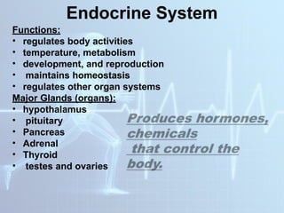 DIFFERENT HUMAN BODY SYSTEMS THAT WORKS TOGETHER | PPTX