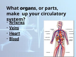 DIFFERENT HUMAN BODY SYSTEMS THAT WORKS TOGETHER | PPTX