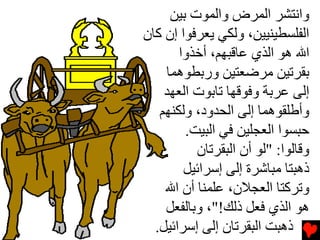 ‫واﻧﺘﺸﺮ اﻟﻤﺮض واﻟﻤﻮت ﺏﻴﻦ‬
‫اﻟﻔﻠﺴﻄﻴﻨﻴﻴﻦ، وﻟﻜﻲ یﻌﺮﻓﻮا إن آﺎن‬
       ‫اﷲ هﻮ اﻟﺬي ﻋﺎﻗﺒﻬﻢ، أﺧﺬوا‬
    ‫ﺏﻘﺮﺕﻴﻦ ﻡﺮﺽﻌﺘﻴﻦ ورﺏﻄﻮهﻤﺎ‬
    ‫إﻟﻰ ﻋﺮﺏﺔ وﻓﻮﻗﻬﺎ ﺕﺎﺏﻮت اﻟﻌﻬﺪ‬
   ‫وأﻃﻠﻘﻮهﻤﺎ إﻟﻰ اﻟﺤﺪود، وﻟﻜﻨﻬﻢ‬
        ‫ﺡﺒﺴﻮا اﻟﻌﺠﻠﻴﻦ ﻓﻲ اﻟﺒﻴﺖ.‬
          ‫وﻗﺎﻟﻮا: "ﻟﻮ أن اﻟﺒﻘﺮﺕﺎن‬
        ‫ذهﺒﺘﺎ ﻡﺒﺎﺵﺮة إﻟﻰ إﺱﺮاﺋﻴﻞ‬
    ‫وﺕﺮآﺘﺎ اﻟﻌﺠﻼن، ﻋﻠﻤﻨﺎ أن اﷲ‬
    ‫هﻮ اﻟﺬي ﻓﻌﻞ ذﻟﻚ!"، وﺏﺎﻟﻔﻌﻞ‬
  ‫ذهﺒﺖ اﻟﺒﻘﺮﺕﺎن إﻟﻰ إﺱﺮاﺋﻴﻞ.‬
 