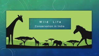 W i l d L i f e
Conservation in India
 