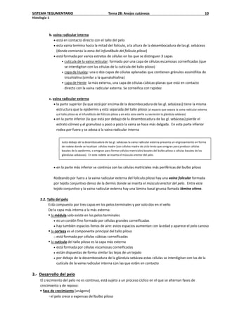SISTEMA TEGUMENTARIO Tema 28: Anejos cutáneos 10
Histología-1
b. vaina radicular interna
• está en contacto directo con el tallo del pelo
• esta vaina termina hacia la mitad del folículo, a la altura de la desembocadura de las gl. sebáceas
(donde comienza la zona del infundíbulo del folículo piloso)
• está formada por varios estratos de células en los que se distinguen 3 capas
 cutícula de la vaina reticular: formada por una capa de células escamosas corneificadas (que
se interdigitan con las células de la cutícula del tallo piloso)
 capa de Huxley: una o dos capas de células aplanadas que contienen gránulos eosinófilos de
tricohialina (similar a la queratohialina)
 capa de Henle: la más externa, una capa de células cúbicas-planas que está en contacto
directo con la vaina radicular externa. Se corneifica con rapidez
c. vaina radicular externa
• la parte superior (la que está por encima de la desembocadura de las gl. sebáceas) tiene la misma
estructura que la epidermis y está separada del tallo piloso (al espacio que separa la vaina radicular externa
y el tallo piloso es el infundíbulo del folìculo piloso y en esta zona vierte su secreción la glándula sebácea)
• en la parte inferior (la que está por debajo de la desembocadura de las gl. sebáceas) pierde el
estrato córneo y el granuloso y poco a poco la vaina se hace más delgada. En esta parte inferior
rodea por fuera y se adosa a la vaina radicular interna
Justo debajo de la desembocadura de las gl. sebáceas la vaina radicular externa presenta un engrosamiento en forma
de rodete donde se localizan células madre (son células madre de ciclo lento que emigran para producir células
basales de la epidermis, o emigran para formar células matriciales basales del bulbo piloso o células basales de las
glándulas sebáceas). En este rodete se inserta el músculo erector del pelo.
• en la parte más inferior se continúa con las células matriciales más periféricas del bulbo piloso
Rodeando por fuera a la vaina radicular externa del folículo piloso hay una vaina folicular formada
por tejido conjuntivo denso de la dermis donde se inserta el músculo erector del pelo. Entre este
tejido conjuntivo y la vaina radicular externa hay una lámina basal gruesa llamada lámina vítrea.
2.2. Tallo del pelo
Está compuesto por tres capas en los pelos terminales y por solo dos en el vello
De la capa más interna a la más externa:
 la médula solo existe en los pelos terminales
• es un cordón fino formado por células grandes corneificadas
• hay también espacios llenos de aire: estos espacios aumentan con la edad y aparece el pelo canoso
 la corteza es el componente principal del tallo piloso
o está formada por células cúbicas corneificadas
 la cutícula del tallo piloso es la capa más externa
• está formada por células escamosas corneificadas
• están dispuestas de forma similar las tejas de un tejado
• por debajo de la desembocadura de la glándula sebácea estas células se interdigitan con las de la
cutícula de la vaina radicular interna con las que están en contacto
3.- Desarrollo del pelo
El crecimiento del pelo no es continuo, está sujeto a un proceso cíclico en el que se alternan fases de
crecimiento y de reposo:
 fase de crecimiento [anágeno]
◦el pelo crece a expensas del bulbo piloso
 