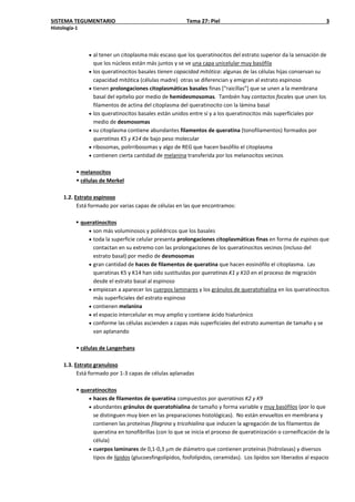 SISTEMA TEGUMENTARIO Tema 27: Piel 3
Histología-1
• al tener un citoplasma más escaso que los queratinocitos del estrato superior da la sensación de
que los núcleos están más juntos y se ve una capa unicelular muy basófila
• los queratinocitos basales tienen capacidad mitótica: algunas de las células hijas conservan su
capacidad mitótica (células madre) otras se diferencian y emigran al estrato espinoso
• tienen prolongaciones citoplasmáticas basales finas [“raicillas”] que se unen a la membrana
basal del epitelio por medio de hemidesmosomas. También hay contactos focales que unen los
filamentos de actina del citoplasma del queratinocito con la lámina basal
• los queratinocitos basales están unidos entre sí y a los queratinocitos más superficiales por
medio de desmosomas
• su citoplasma contiene abundantes filamentos de queratina (tonofilamentos) formados por
queratinas K5 y K14 de bajo peso molecular
• ribosomas, polirribosomas y algo de REG que hacen basófilo el citoplasma
• contienen cierta cantidad de melanina transferida por los melanocitos vecinos
 melanocitos
 células de Merkel
1.2. Estrato espinoso
Está formado por varias capas de células en las que encontramos:
 queratinocitos
• son más voluminosos y poliédricos que los basales
• toda la superficie celular presenta prolongaciones citoplasmáticas finas en forma de espinas que
contactan en su extremo con las prolongaciones de los queratinocitos vecinos (incluso del
estrato basal) por medio de desmosomas
• gran cantidad de haces de filamentos de queratina que hacen eosinófilo el citoplasma. Las
queratinas K5 y K14 han sido sustituidas por queratinas K1 y K10 en el proceso de migración
desde el estrato basal al espinoso
• empiezan a aparecer los cuerpos laminares y los gránulos de queratohialina en los queratinocitos
más superficiales del estrato espinoso
• contienen melanina
• el espacio intercelular es muy amplio y contiene ácido hialurónico
• conforme las células ascienden a capas más superficiales del estrato aumentan de tamaño y se
van aplanando
 células de Langerhans
1.3. Estrato granuloso
Está formado por 1-3 capas de células aplanadas
 queratinocitos
• haces de filamentos de queratina compuestos por queratinas K2 y K9
• abundantes gránulos de queratohialina de tamaño y forma variable y muy basófilos (por lo que
se distinguen muy bien en las preparaciones histológicas). No están envueltos en membrana y
contienen las proteínas filagrina y tricohialina que inducen la agregación de los filamentos de
queratina en tonofibrillas (con lo que se inicia el proceso de queratinización o corneificación de la
célula)
• cuerpos laminares de 0,1-0,3 µm de diámetro que contienen proteínas (hidrolasas) y diversos
tipos de lípidos (glucoesfingolípidos, fosfolípidos, ceramidas). Los lípidos son liberados al espacio
 