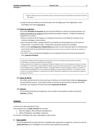 SISTEMA TEGUMENTARIO Tema 27: Piel 6
Histología-1
• regula la diferenciación de los melanocitos (induce la síntesis de enzimas del metabolismo de la melanina, el paro del
ciclo celular…)
• puede encontrarse melanina en la dermis dentro de macrófagos que la han fagocitado: a estos
macrófagos se les llama melanóforos
2.3. Células de Langerhans
Son células derivadas de monocitos (forman parte del SFM) que se sitúan en el estrato espinoso: son
células presentadoras de antígenos (células dendríticas) todavía inmaduras. También hay células de
Langerhans en la dermis.
 tienen un núcleo de forma irregular y un citoplasma claro pero no son fáciles de reconocer en las
tinciones histológicas convencionales
 para reconocerlas mejor se pueden detectar con métodos inmunohistoquímicos con AC contra la
proteína CD1a o la proteína S-100… o detectando marcadores propios de macrófagos.
 tienen muchas prolongaciones citoplasmáticas parecidas a las del melanocito (pero sin melanosomas)
que se sitúan entre los queratinocitos vecinos (interaccionan con ellos por medio de E-caderinas de superficie, no
hay desmosomas)
 con el M. E. se ven unos gránulos alargados con una expansión final que le da forma de raqueta de
tenis: gránulos de Birbeck
Los gránulos de Birbeck contienen langerina (una lectina tipo C que se une a residuos de manosa) y CD1a, moléculas
involucradas en la captación y presentación de los antígenos.
Los Ag que penetran en la epidermis son captados por medio de la langerina y la CD 1a e introducidos en el interior de la célula
de Langerhans. A continuación, la célula abandona la epidermis y alcanza la dermis donde entra en un vaso linfático por el que
será transportada hasta un ganglio linfático regional. En el ganglio linfático la célula de Langerhans madura y se convierte en
célula dendrítica interdigitante de la corteza profunda del ganglio que presenta el Ag a los linfocitos T. Los linfocitos T activos
entran en la circulación sanguínea, se extravasarán en la dermis y alcanzarán la epidermis por la que penetraron al organismo
los Ag para inactivarlos
2.4. Células de Merkel
Son células que derivan de la cresta neural que se localizan en el estrato basal unidas por desmosomas a
los queratinocitos vecinos. Estas células reciben el contacto de terminaciones nerviosas sensoriales
formando unos receptores sensoriales llamados corpúsculos de Merkel
2.4. Linfocitos
En los estratos profundos de la epidermis, como sucede en otros epitelios, pueden encontrarse
linfocitos TC (CD8+)
DERMIS
La dermis es la capa profunda de la piel
Está compuesta por un tejido conectivo que contiene
• fibras de colágeno, fibras elásticas, proteoglicanos…
• células: fibroblastos, macrófagos, mastocitos…
En la dermis se distinguen dos capas: capa papilar y capa reticular
1.- Capa papilar
Es la más superficial de las capas dérmicas, inmediatamente subyacente a la epidermis, y forma una serie de
papilas dérmicas que se interdigitan con la red de crestas epidérmicas profundas.
 