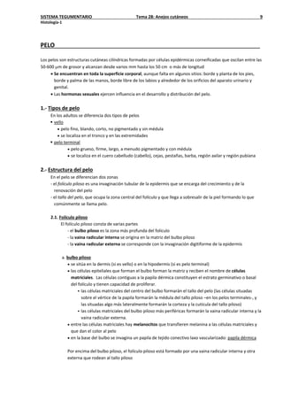 SISTEMA TEGUMENTARIO Tema 28: Anejos cutáneos 9
Histología-1
PELO
Los pelos son estructuras cutáneas cilíndricas formadas por células epidérmicas corneificadas que oscilan entre las
50-600 µm de grosor y alcanzan desde varios mm hasta los 50 cm o más de longitud
• Se encuentran en toda la superficie corporal, aunque falta en algunos sitios: borde y planta de los pies,
borde y palma de las manos, borde libre de los labios y alrededor de los orificios del aparato urinario y
genital.
• Las hormonas sexuales ejercen influencia en el desarrollo y distribución del pelo.
1.- Tipos de pelo
En los adultos se diferencia dos tipos de pelos
 vello
• pelo fino, blando, corto, no pigmentado y sin médula
• se localiza en el tronco y en las extremidades
 pelo terminal
• pelo grueso, firme, largo, a menudo pigmentado y con médula
• se localiza en el cuero cabelludo (cabello), cejas, pestañas, barba, región axilar y región pubiana
2.- Estructura del pelo
En el pelo se diferencian dos zonas
- el folículo piloso es una invaginación tubular de la epidermis que se encarga del crecimiento y de la
renovación del pelo
- el tallo del pelo, que ocupa la zona central del folículo y que llega a sobresalir de la piel formando lo que
comúnmente se llama pelo.
2.1. Folículo piloso
El folículo piloso consta de varias partes
- el bulbo piloso es la zona más profunda del folículo
- la vaina radicular interna se origina en la matriz del bulbo piloso
- la vaina radicular externa se corresponde con la invaginación digitiforme de la epidermis
a. bulbo piloso
• se sitúa en la dermis (si es vello) o en la hipodermis (si es pelo terminal)
• las células epiteliales que forman el bulbo forman la matriz y reciben el nombre de células
matriciales. Las células contiguas a la papila dérmica constituyen el estrato germinativo o basal
del folículo y tienen capacidad de proliferar.
 las células matriciales del centro del bulbo formarán el tallo del pelo (las células situadas
sobre el vértice de la papila formarán la médula del tallo piloso –en los pelos terminales-, y
las situadas algo más lateralmente formarán la corteza y la cutícula del tallo piloso)
 las células matriciales del bulbo piloso más periféricas formarán la vaina radicular interna y la
vaina radicular externa.
• entre las células matriciales hay melanocitos que transfieren melanina a las células matriciales y
que dan el color al pelo
• en la base del bulbo se invagina un papila de tejido conectivo laxo vascularizado: papila dérmica
Por encima del bulbo piloso, el folículo piloso está formado por una vaina radicular interna y otra
externa que rodean al tallo piloso
 
