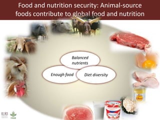 Food and nutrition security: Animal-source
foods contribute to global food and nutrition
Enough food
Balanced
nutrients
Diet diversity
 
