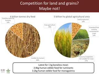 Competition for land and grains?
Maybe not!
Inedible by humans
86%
Could be eaten by
humans
14%
6 billion tonnes dry feed
Feed production
10%
Grassland that
could be
converted for
crops
14%
Pastures/rangelands -
not suitable for crops
27%
Crop agriculture
49%
5 billion ha global agricultural area
Latest for 1 kg boneless meat:
2.8kg human-edible food for ruminants
3.2kg human-edible food for monogastrics
 