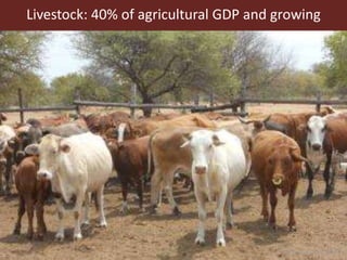 Livestock: 40% of agricultural GDP and growing
Herrero et al. 2014
 