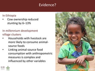 The role of livestock in food and nutrition security