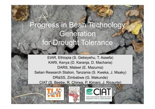 Progress in Bean Technology
        Generation
   for Drought Tolerance
         EIAR, Ethiopia (S. Gebeyehu, T. Assefa)
         KARI, Kenya (D. Karanja, D. Macharia)
              DARS, Malawi (E. Mazuma)
 Selian Research Station, Tanzania (S. Kweka, J. Msaky)
            DR&SS, Zimbabwe (G. Makunde)
    CIAT (S. Beebe, R. Chirwa, P. Kimani, J. Ricaurte)
 