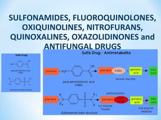 SULFONAMIDES, FLUOROQUINOLONES,
OXIQUINOLINES, NITROFURANS,
QUINOXALINES, OXAZOLIDINONES and
ANTIFUNGAL DRUGS
11
 