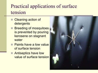 Practical applications of surface
tension
 Cleaning action of
detergents
 Breeding of mosquitoes
is prevented by pouring
kerosene on stagnant
water
 Paints have a low value
of surface tension
 Antiseptics have low
value of surface tension
 