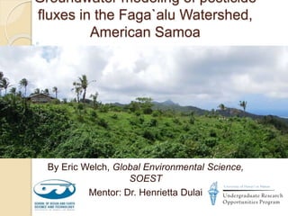 Groundwater modeling of pesticide
fluxes in the Faga`alu Watershed,
American Samoa
By Eric Welch, Global Environmental Science,
SOEST
Mentor: Dr. Henrietta Dulai
 