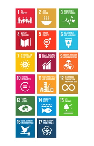 17. Sustainable Development Goals UN | PDF