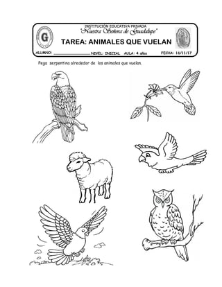 17 tarea animales que vuelan