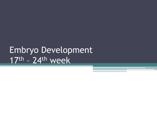 Embryo Development
17th – 24th week
 
