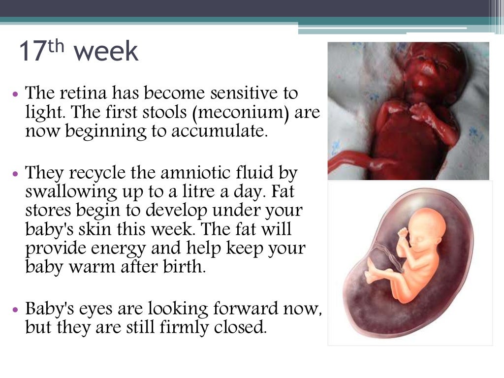 17th24th week of pregnancy