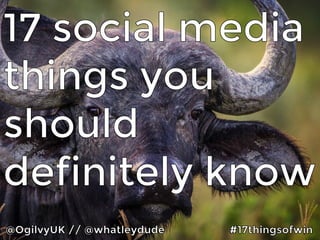 17 social media things you should definitely know