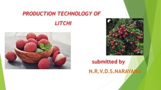 PRODUCTION TECHNOLOGY OF
LITCHI
submitted by
N.R.V.D.S.NARAYANA
 