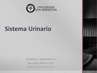 Sistema Urinario
Histología y Organogénesis
Tecnología Médica 2012
TM Jocelyn Sanhueza Monsalve
 