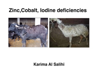 Zinc,Cobalt, Iodine deficiencies
Karima Al Salihi
 