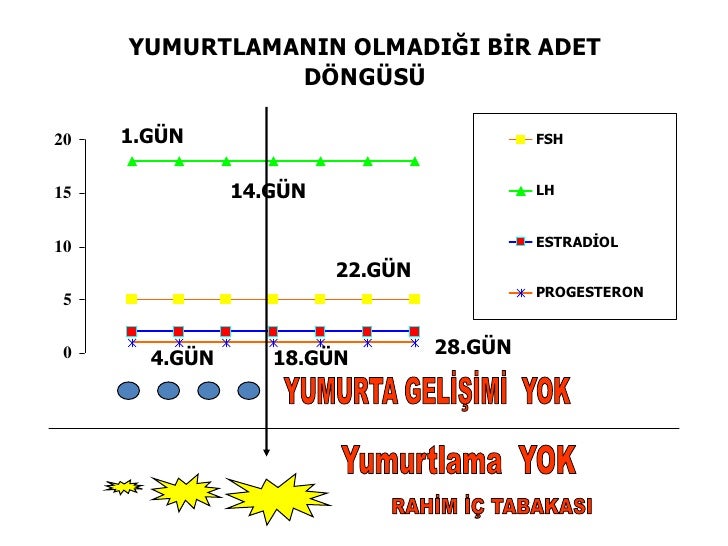 Ovulasyon Testi