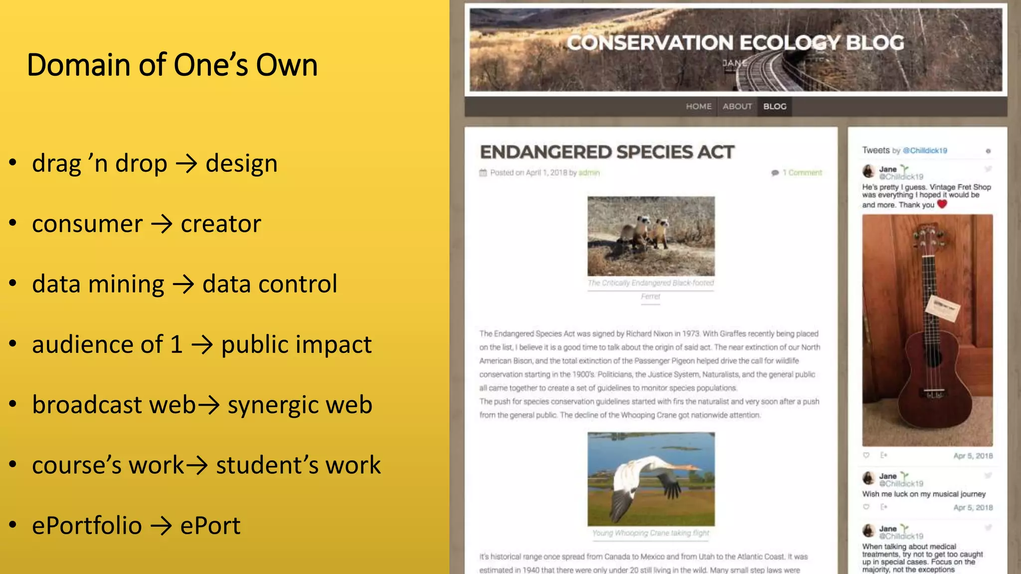Domain of One’s Own
• drag ’n drop → design
• consumer → creator
• data mining → data control
• audience of 1 → public impact
• broadcast web→ synergic web
• course’s work→ student’s work
• ePortfolio → ePort
 