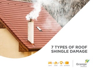 7 TYPES OF ROOF
SHINGLE DAMAGE
 