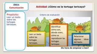 Actividad: ¿Cómo es la tortuga taricaya?
Propósito:
Leer un texto
sobre las
tortugas
taricayas.
ÁREA:
Comunicación
¡Es hora de empezar a leer!
Criterio de evaluación
 