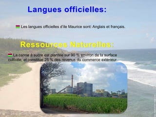 Langues officielles: Leslanguesofficiellesd’ile Maurice sont: Anglaisetfrançais. Ressources Naturelles: La canne à sucre est plantée sur 90 % environ de la surface cultivée, et constitue 25 % des revenus du commerce extérieur.
