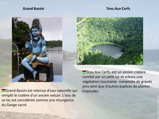 GrandBassinTrouAuxCerfsTrou Aux Cerfs, est un ancien cratère  comblé par un petit lac et arbore une végétation luxuriante, composée de grands pins ainsi que d'autres espèces de plantes tropicales.Grand Bassin est retenue d'eau naturelle qui remplit le cratère d'un ancien volcan. L'eau de ce lac est considérée comme une résurgence du Gange sacré.