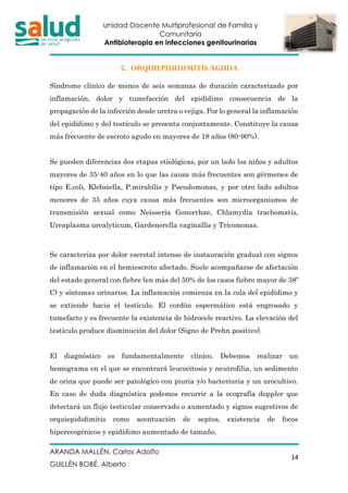 Unidad Docente Multiprofesional de Familia y
Comunitaria
Antibioterapia en infecciones genitourinarias
ARANDA MALLÉN, Carlos Adolfo
GUILLÉN BOBÉ, Alberto
14
5. ORQUIEPIDIDIMITIS AGUDA
Síndrome clínico de menos de seis semanas de duración caracterizado por
inflamación, dolor y tumefacción del epidídimo consecuencia de la
propagación de la infección desde uretra o vejiga. Por lo general la inflamación
del epidídimo y del testículo se presenta conjuntamente. Constituye la causa
más frecuente de escroto agudo en mayores de 18 años (80-90%).
Se pueden diferencias dos etapas etiológicas, por un lado los niños y adultos
mayores de 35-40 años en lo que las causa más frecuentes son gérmenes de
tipo E.coli, Klebsiella, P.mirabilis y Pseudomonas, y por otro lado adultos
menores de 35 años cuya causa más frecuentes son microorganismos de
transmisión sexual como Neisseria Gonorrhae, Chlamydia trachomatis,
Ureaplasma urealyticum, Gardenerella vaginallis y Tricomonas.
Se caracteriza por dolor escrotal intenso de instauración gradual con signos
de inflamación en el hemiescroto afectado. Suele acompañarse de afectación
del estado general con fiebre (en más del 50% de los casos fiebre mayor de 38º
C) y síntomas urinarios. La inflamación comienza en la cola del epidídimo y
se extiende hacia el testículo. El cordón espermático está engrosado y
tumefacto y es frecuente la existencia de hidrocele reactivo. La elevación del
testículo produce disminución del dolor (Signo de Prehn positivo).
El diagnóstico es fundamentalmente clínico. Debemos realizar un
hemograma en el que se encontrará leucocitosis y neutrofilia, un sedimento
de orina que puede ser patológico con piuria y/o bacteriuria y un urocultivo.
En caso de duda diagnóstica podemos recurrir a la ecografía doppler que
detectará un flujo testicular conservado o aumentado y signos sugestivos de
orquiepididimitis como acentuación de septos, existencia de focos
hiperecogénicos y epidídimo aumentado de tamaño.
 