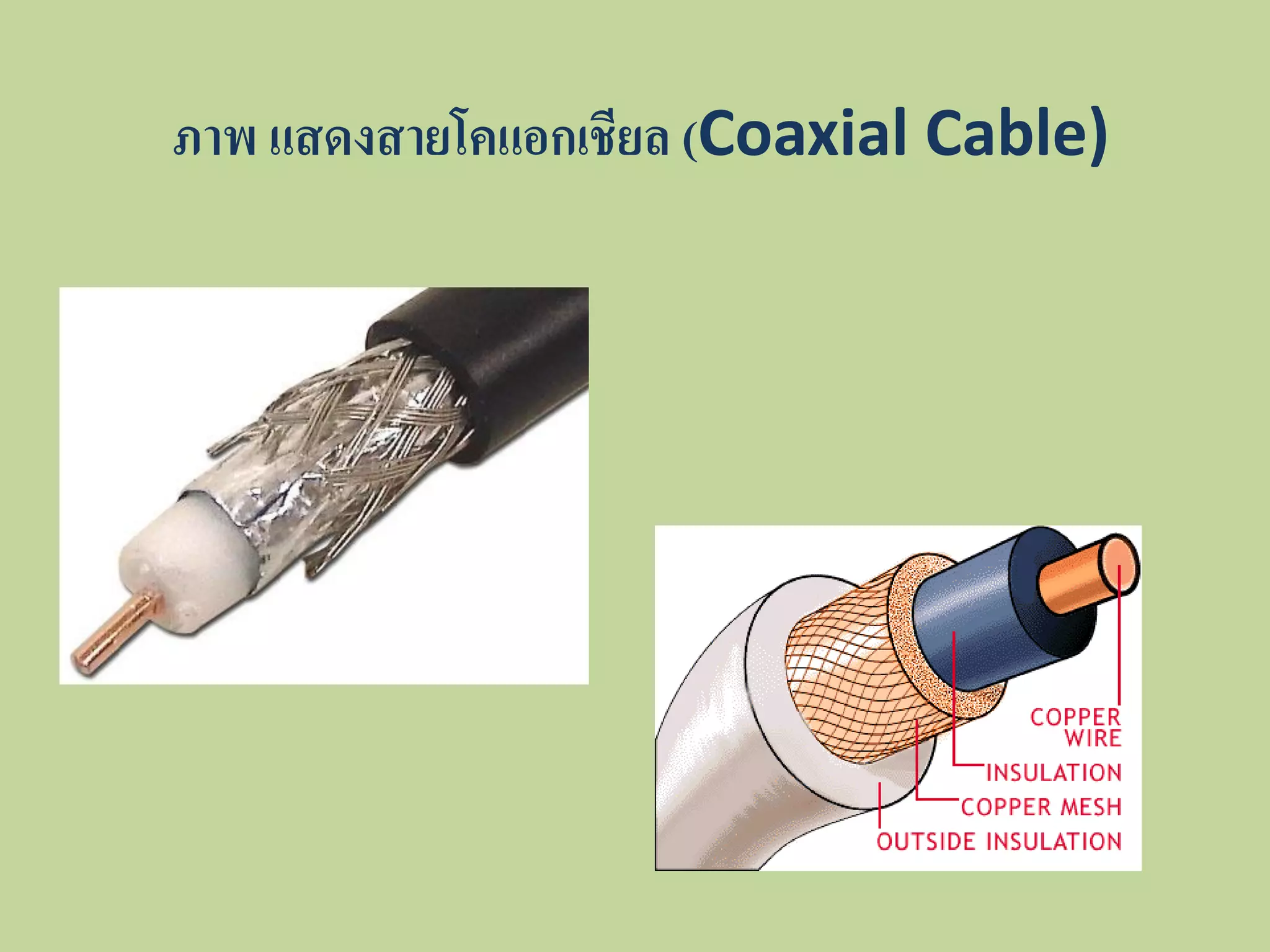 ภาพ แสดงสายโคแอกเชียล (Coaxial Cable)
 