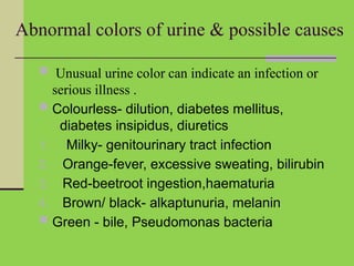 Abnormal colors of urine & possible causes
 Unusual urine color can indicate an infection or
serious illness .
 Colourless- dilution, diabetes mellitus,
diabetes insipidus, diuretics
1. Milky- genitourinary tract infection
2. Orange-fever, excessive sweating, bilirubin
3. Red-beetroot ingestion,haematuria
4. Brown/ black- alkaptunuria, melanin
 Green - bile, Pseudomonas bacteria
 