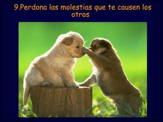 9.Perdona las molestias que te causen los
                  otros
 