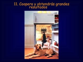 11. Coopera y obtendrás grandes
         resultados
 