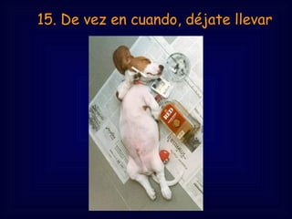     15. De vez en cuando, déjate llevar
 