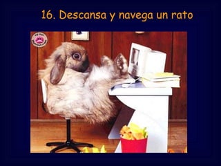     16. Descansa y navega un rato
 