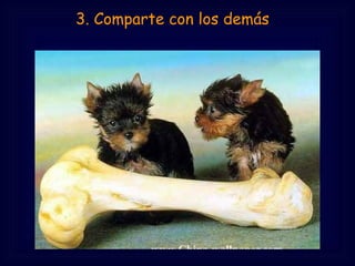 3. Comparte con los demás 
 