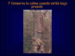 7 Conserva la calma cuando estés bajo
               presión
 