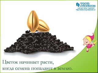 как растет цветок