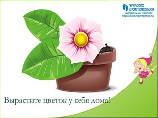 как растет цветок