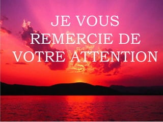 JE VOUS
  REMERCIE DE
VOTRE ATTENTION


              15
 